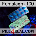 Femalegra 100 new02
